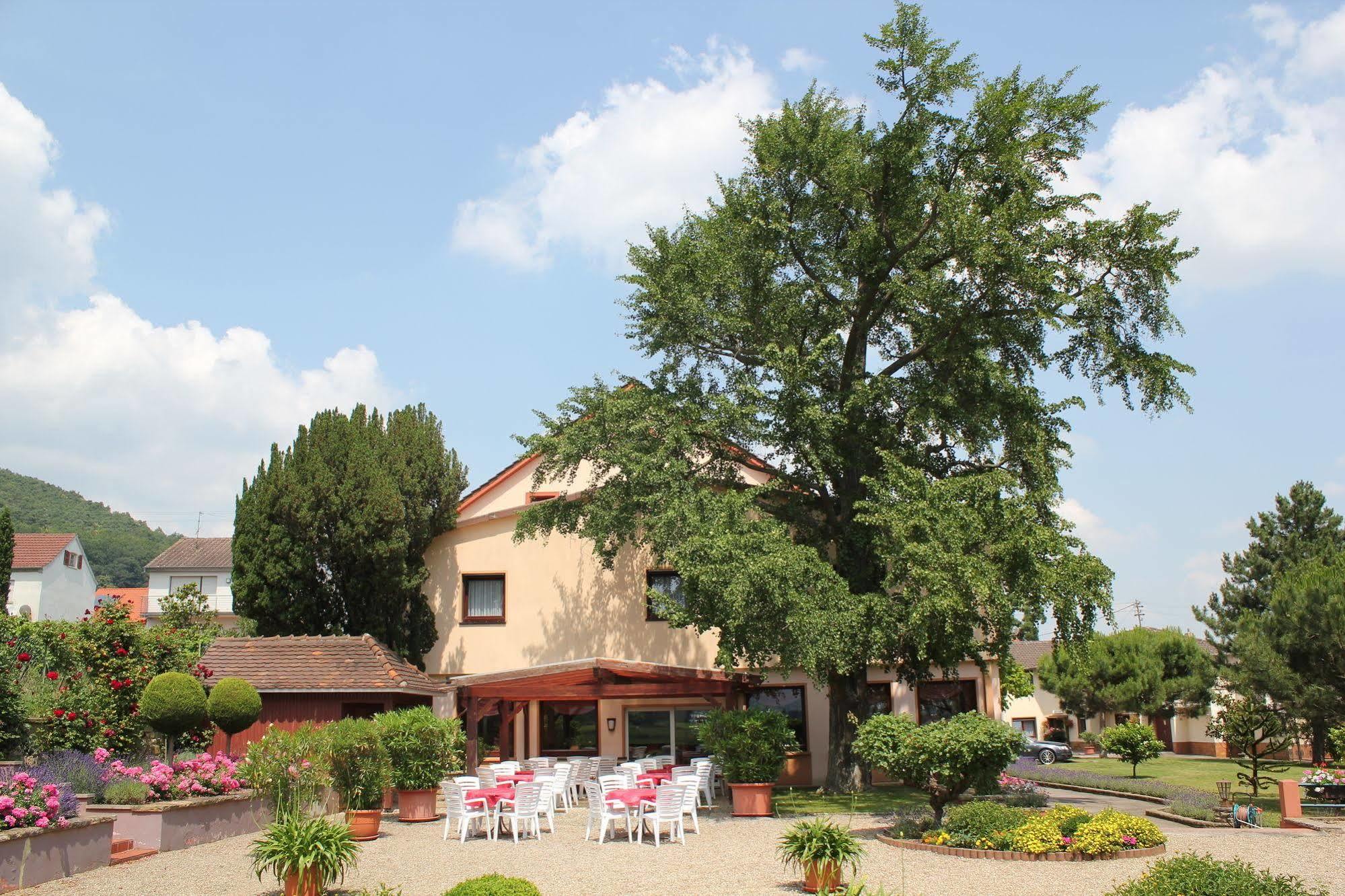 Hotel Tenner Neustadt an der Weinstrasse Exterior photo